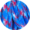 American camo