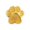Dourado 1 ( Patinha Dourada)