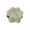 Prateado 1 (Patinha Prata)