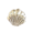 Prateado 5 (Concha Prata)