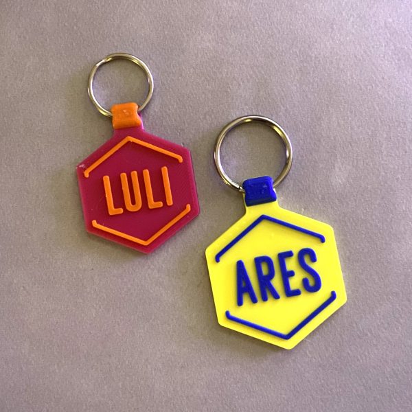 Pets Tag - 2 Cores | HEXAGONAL - Image 3